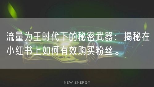 流量为王时代下的秘密武器：揭秘在小红书上如何有效购买粉丝。
