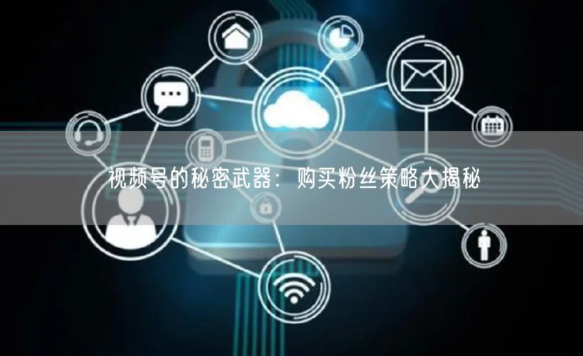 视频号的秘密武器：购买粉丝策略大揭秘